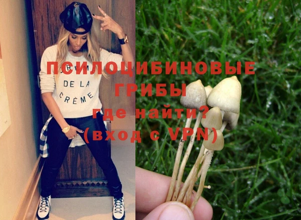 стафф Абдулино