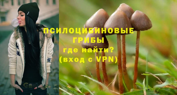 стафф Абдулино