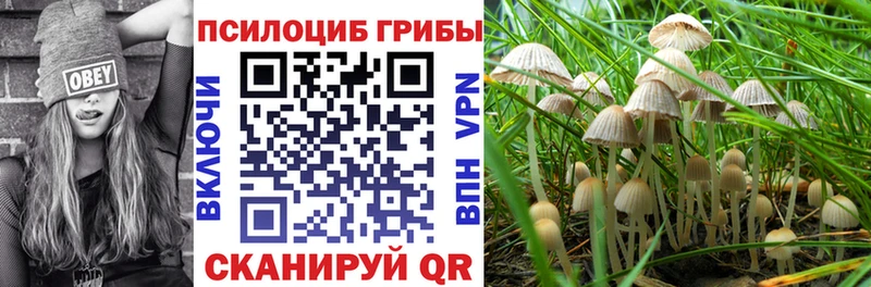 Галлюциногенные грибы мухоморы  Александров 